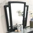 Furniture of America Sakan Solid Wood 2-Piece Dresser and Mirror Set in Black