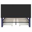 Furniture of America Tink Platform Fabric Queen Bed with Drawers in Navy