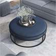 Furniture of America Olive Navy Velvet Fabric 39