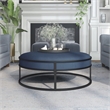 Furniture of America Olive Navy Velvet Fabric 39