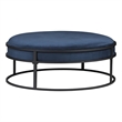 Furniture of America Olive Navy Velvet Fabric 39