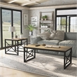 Furniture of America Olive Metal 2-Piece Coffee Table Set in Oak and Black