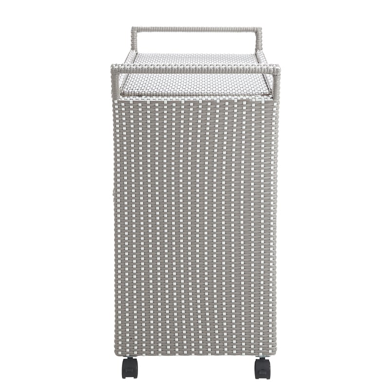Furniture of America Azur Outdoor Aluminum Wicker Bar Cart in Gray