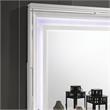 Furniture of America Anaiya Wood 2-Piece Dresser and Mirror Set in White
