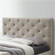 Furniture of America Bethn Transitional Fabric Storage Twin Bed in Beige