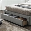 Furniture of America Bethn Transitional Fabric Storage Twin Bed in Gray