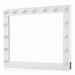 Furniture of America Olive White Wood Hollywood Lighted Vanity Mirror