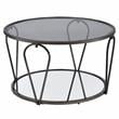 Furniture of America Miffa Contemporary Metal 1-Shelf Coffee Table in Black