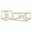 Furniture of America Cevelle Contemporary Metal 2-Piece Coffee Table Set in Gold
