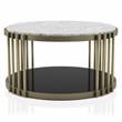 Furniture of America Kual Contemporary Metal 2-Piece Coffee Table Set in Brass