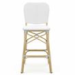 Furniture of America Adino Aluminum Patio Bar Chair in White (Set of 2)