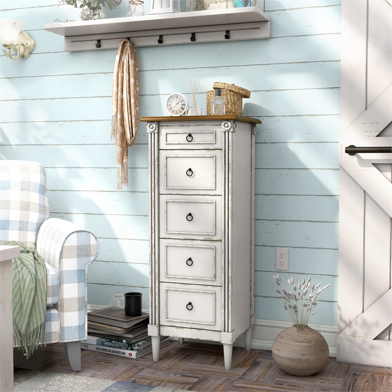 Furniture of America Dayle Traditional Wood 5-Drawer Chest in Antique White