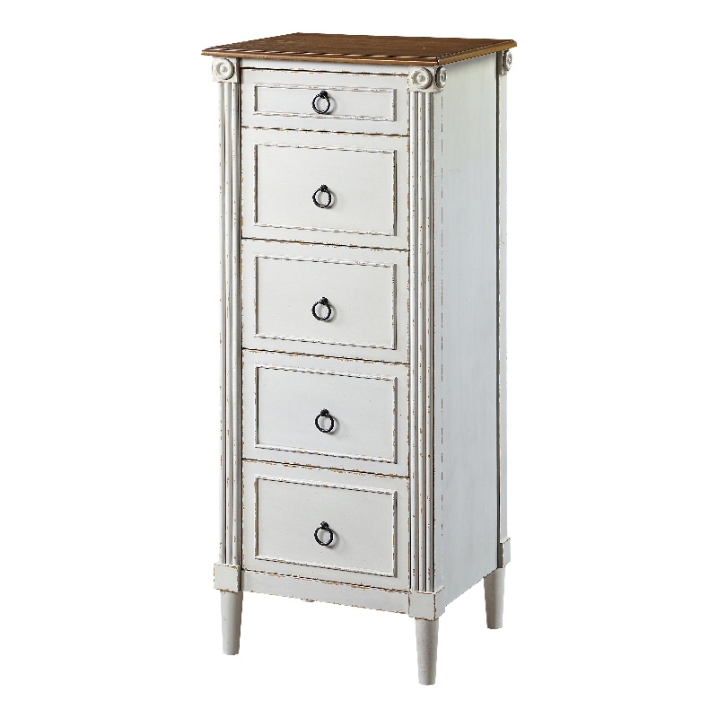 Furniture of America Dayle Traditional Wood 5-Drawer Chest in Antique White