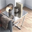 Furniture of America Ludington Contemporary Metal End Table in Chrome