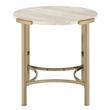 Furniture of America Vasket Contemporary Metal End Table in Gold Champagne