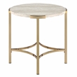 Furniture of America Vasket Contemporary Metal End Table in Gold Champagne