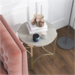 Furniture of America Vasket Contemporary Metal End Table in Gold Champagne
