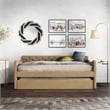Furniture of America Knolt Fabric Twin Daybed with Trundle in Brown