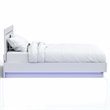 Furniture of America Malva Solid Wood Queen Bed with LED Light in White