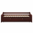 Furniture of America Bateman Wood Daybed with Care Kit in Cherry