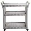 Furniture of America Azur Aluminum 2-Piece Bar Cart and Trash Can in Gray