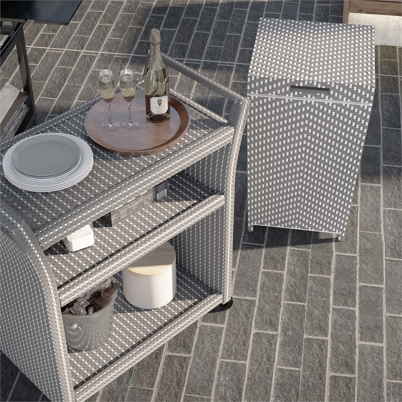 Furniture of America Azur Aluminum 2-Piece Bar Cart and Trash Can in Gray