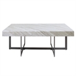 Furniture of America Vasket Contemporary Metal 2-Drawer Coffee Table in Gray