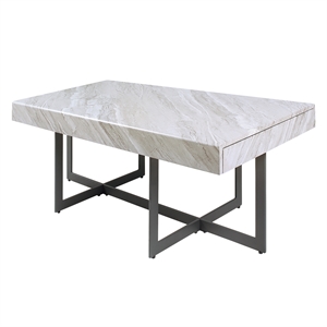 Furniture of America Vasket Contemporary Metal 2-Drawer Coffee Table in Gray