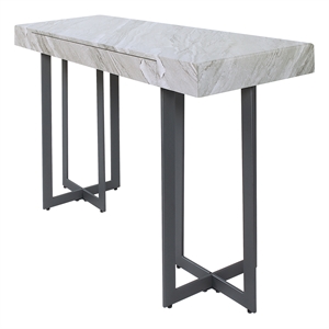 Furniture of America Vasket Contemporary Metal 1-Drawer Sofa Table in Gray
