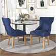 Furniture of America Glanz Fabric Wing-Back Side Chair in Blue (Set of 2)