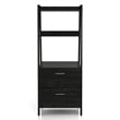 Furniture of America Elm Wood 1-Drawer File Cabinet in Reclaimed Black Oak