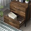 Furniture of America Elm Wood 1-Drawer File Cabinet in Light Brown Hickory