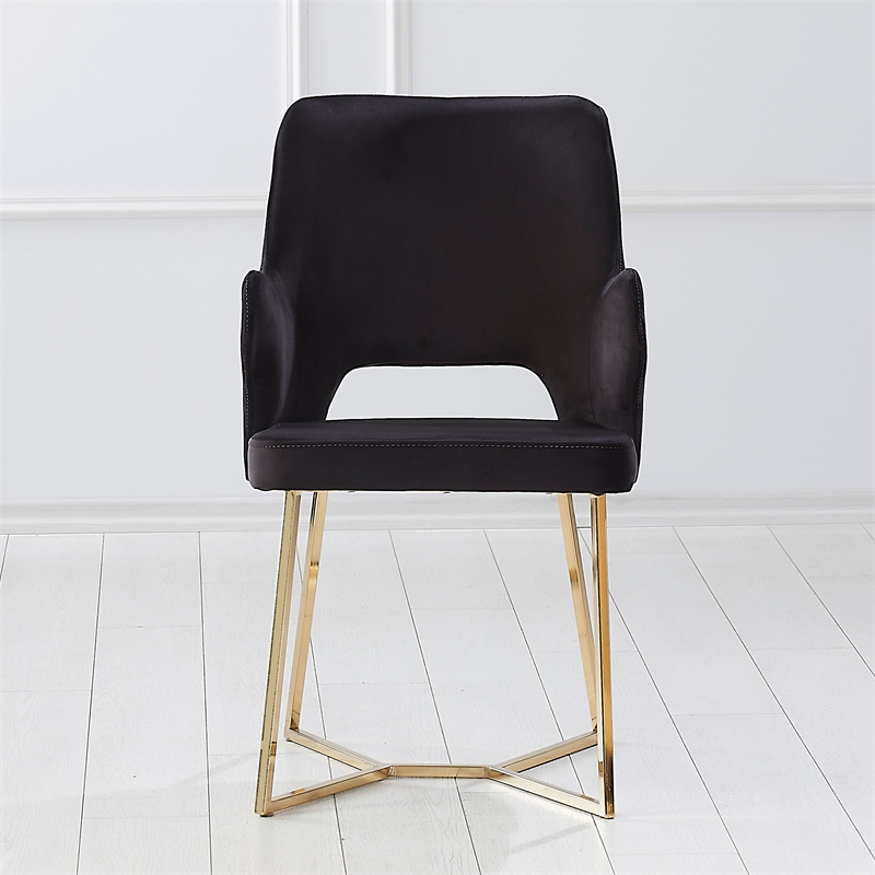 Furniture of America Glanz Fabric Open-Back Accent Chairs in Black (Set of 2)
