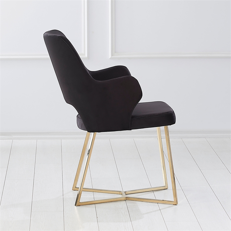 Furniture of America Glanz Fabric Open-Back Accent Chairs in Black (Set of 2)