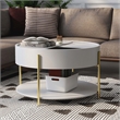 Furniture of America Haft Wood Coffee Table with Hidden Storage in White