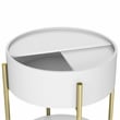 Furniture of America Haft Wood End Table with Hidden Storage in White