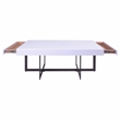 Furniture of America Vasket Contemporary Metal 3-Piece Coffee Table Set in White