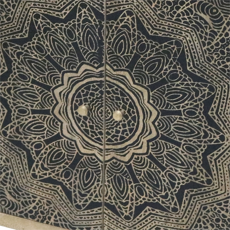 Furniture of America Druze Wood 2-Door Cabinet in Natural and Black