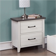 Furniture of America Acres Wood 2-Drawer Kid Nightstand in White and Gray
