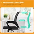Furniture of America Ergo Swivel Stainless Steel & Mesh Office Chair in Black