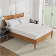 FOA Belkor Solid Wood Queen Platform Bed with 8
