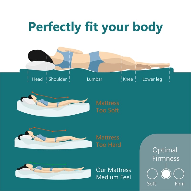 FOA Belkor Solid Wood Queen Platform Bed with 8