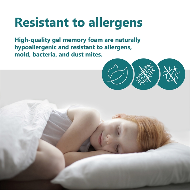 FOA Belkor Solid Wood Queen Platform Bed with 10