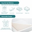 FOA Belkor Solid Wood Queen Platform Bed with 8
