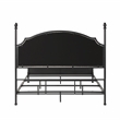 Furniture of America Dahlia Transitional Gunmetal Metal Queen Bed