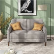 Furniture of America Theo Modern Velvet Fabric Loveseat Sofa in Gray