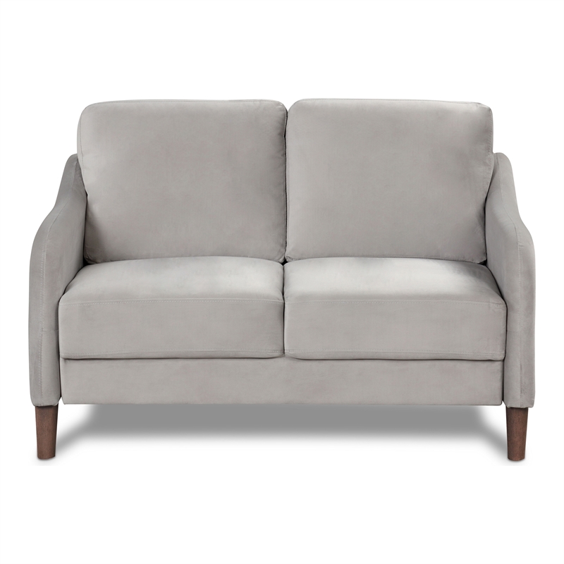 Furniture of America Theo Modern Velvet Fabric Loveseat Sofa in Gray