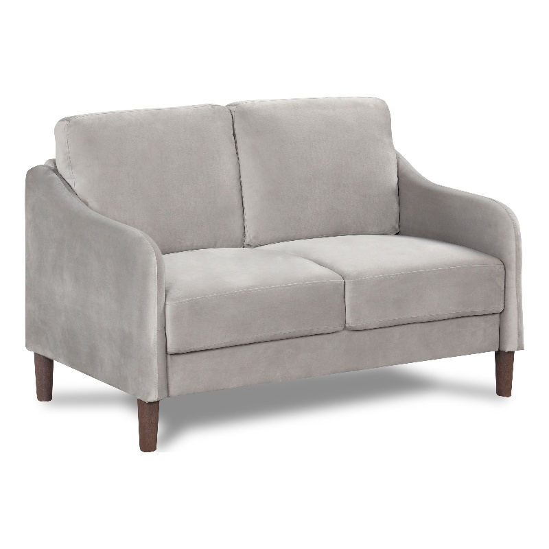 Furniture of America Theo Modern Velvet Fabric Loveseat Sofa in Gray