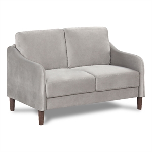Furniture of America Theo Modern Velvet Fabric Loveseat Sofa in Gray