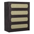 Furniture of America Oscule Transitional Wood 4-Drawer Chest in Espresso